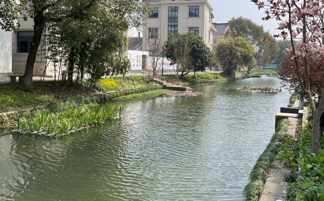 王江涇古塘村美麗河道工程